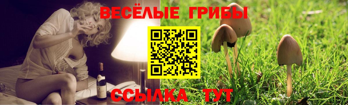 Псилоцибиновые грибы ЛСД  Галлюциногенные грибы ЛСД  Вход с VPN  Пушкино 